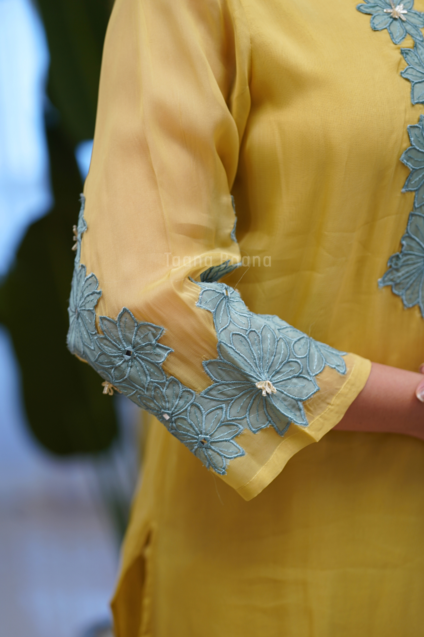Dupatta Pant Set